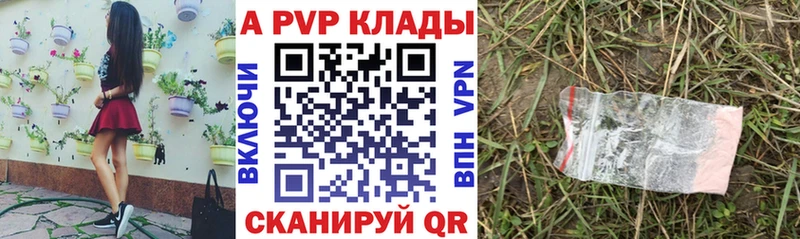 дарнет шоп  Мурино  A PVP крисы CK 