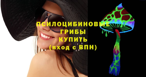 эйфоретик Новодвинск
