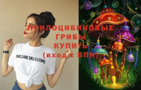 прущая мука Абаза