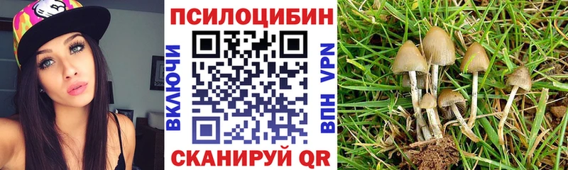 Галлюциногенные грибы прущие грибы  hydra ссылки  Мурино 